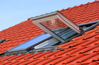 Micklebring roof window